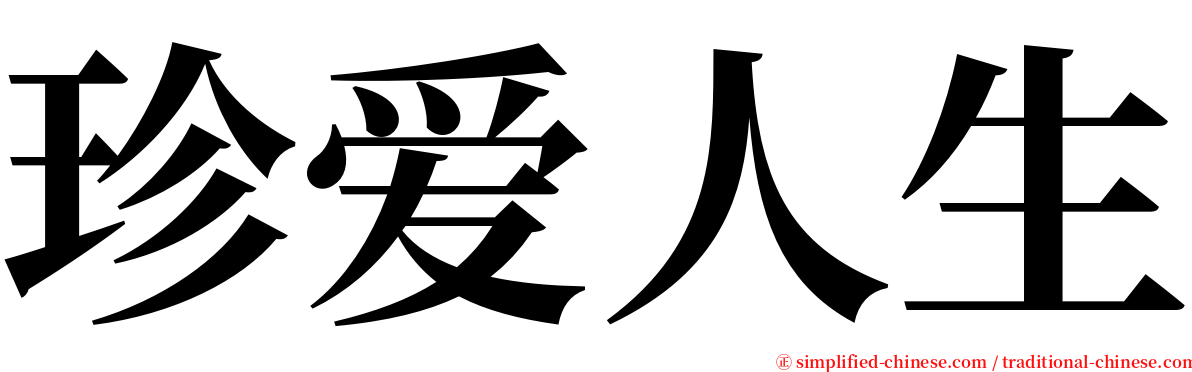 珍爱人生 serif font