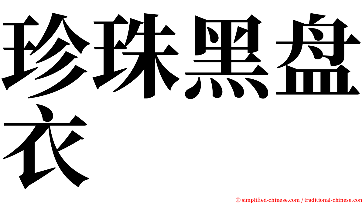 珍珠黑盘衣 serif font