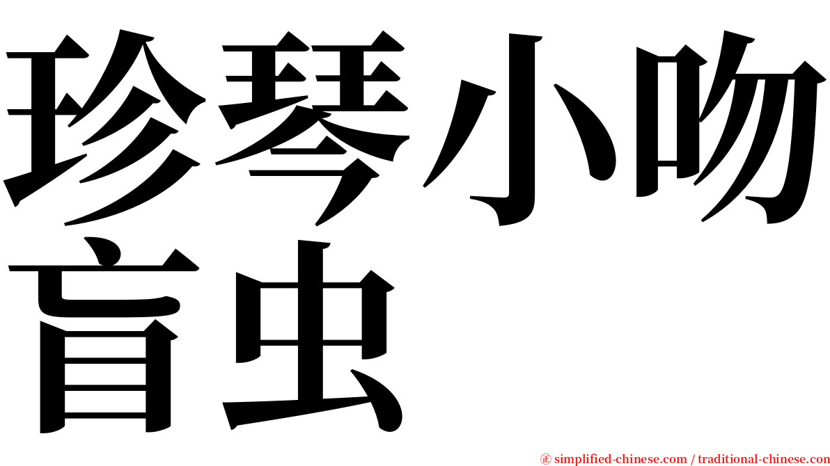 珍琴小吻盲虫 serif font