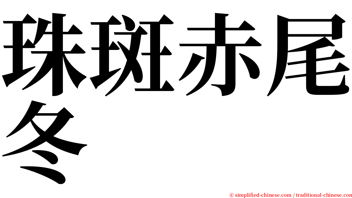 珠斑赤尾冬 serif font