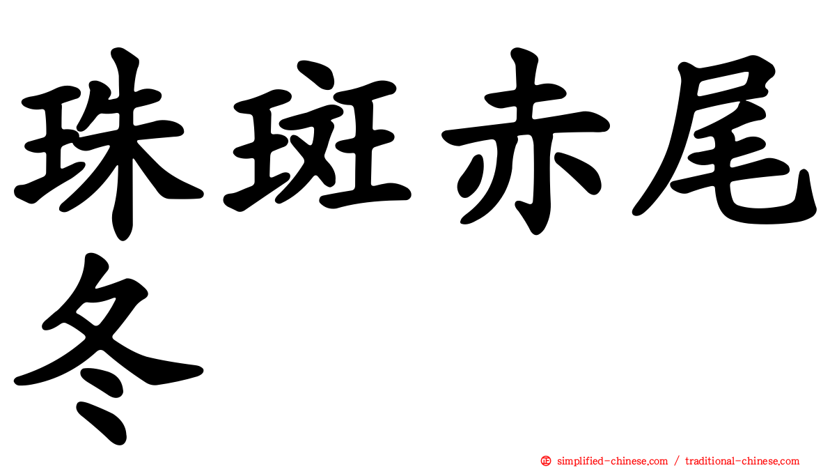 珠斑赤尾冬