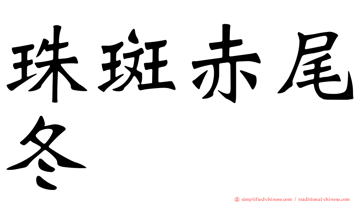 珠斑赤尾冬