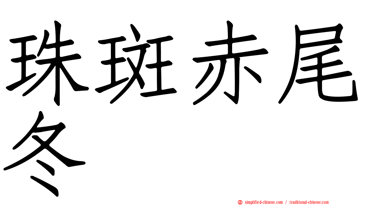 珠斑赤尾冬