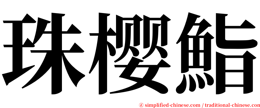 珠樱鮨 serif font