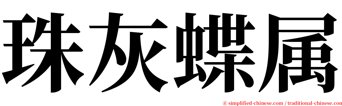 珠灰蝶属 serif font
