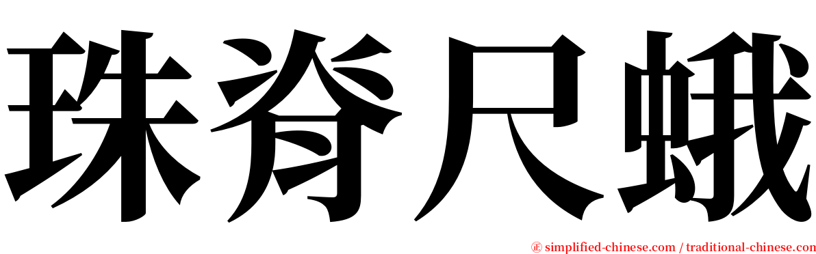 珠脊尺蛾 serif font