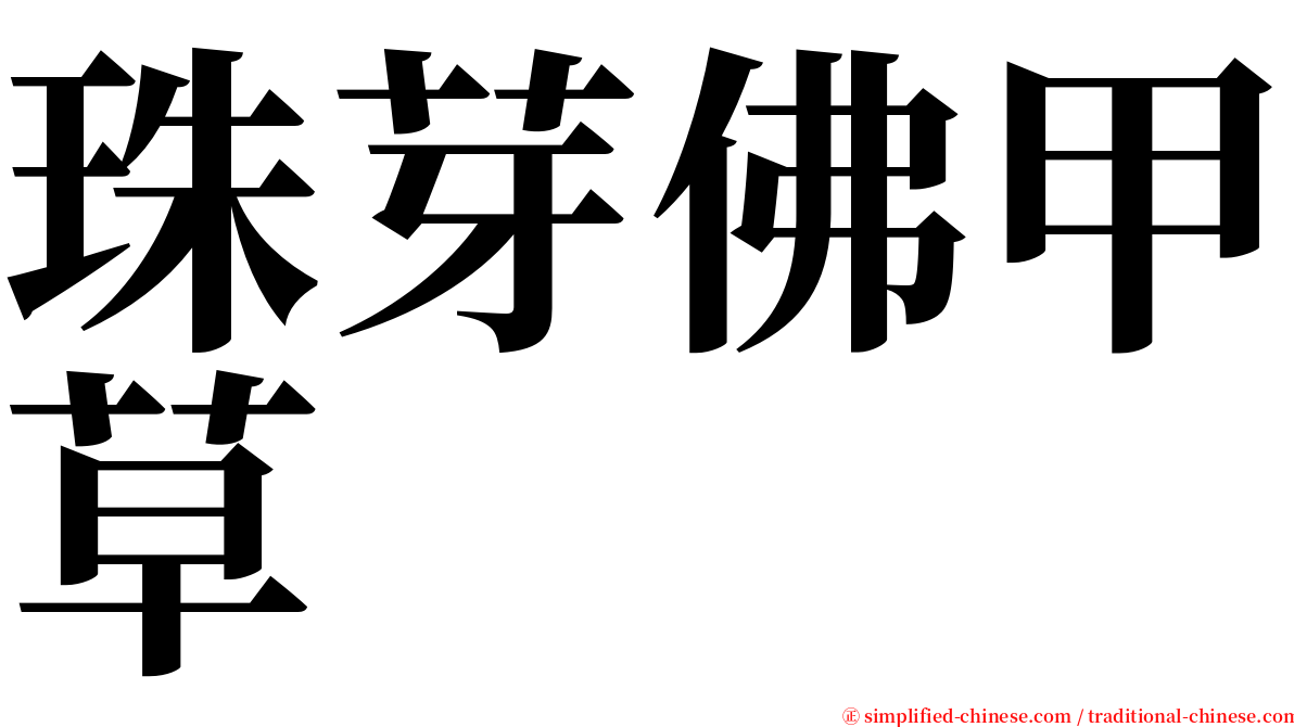 珠芽佛甲草 serif font