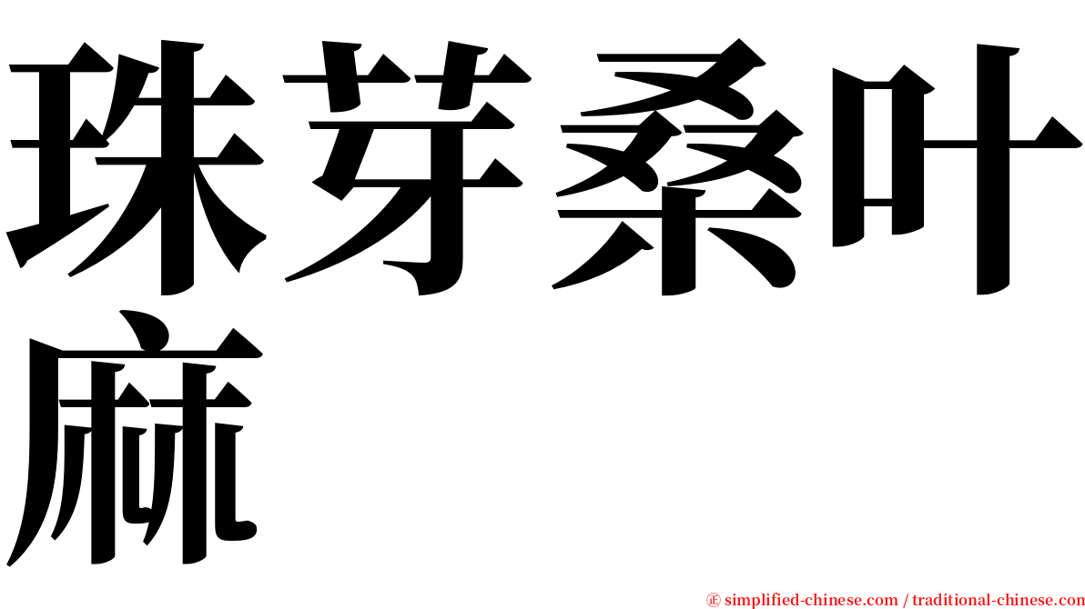 珠芽桑叶麻 serif font