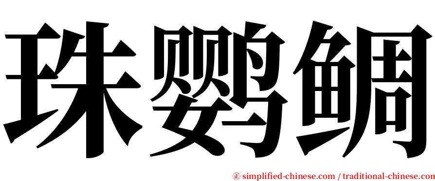 珠鹦鲷 serif font