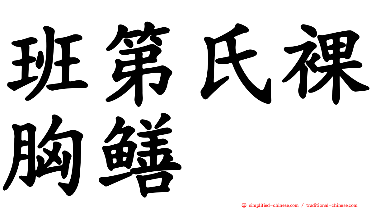 班第氏裸胸鳝