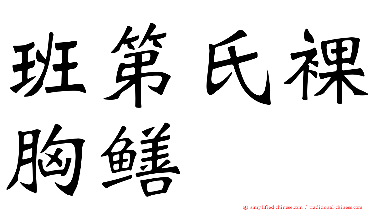 班第氏裸胸鳝