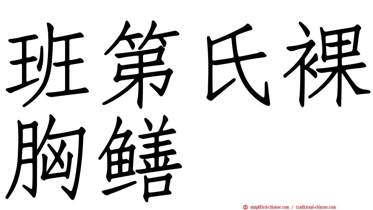 班第氏裸胸鳝