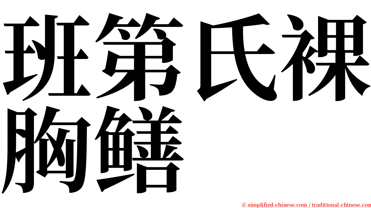 班第氏裸胸鳝 serif font