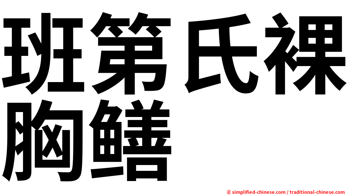 班第氏裸胸鳝