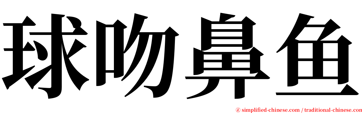 球吻鼻鱼 serif font