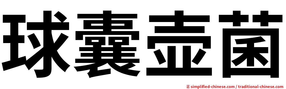 球囊壶菌