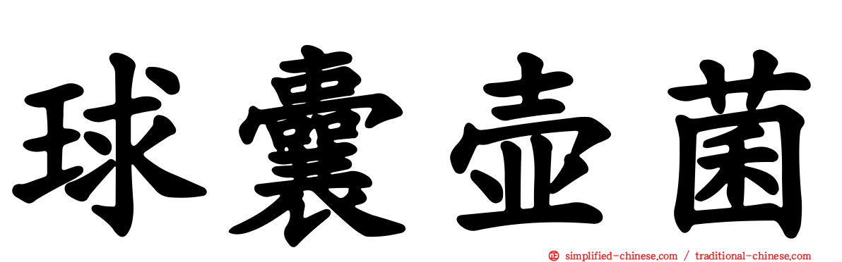 球囊壶菌