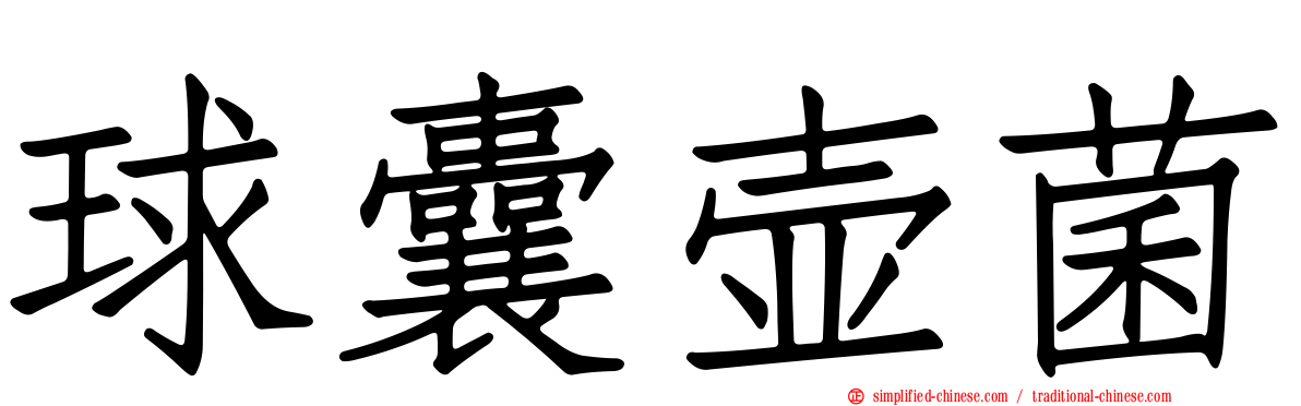 球囊壶菌