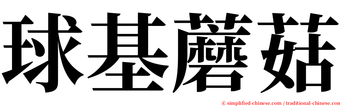 球基蘑菇 serif font