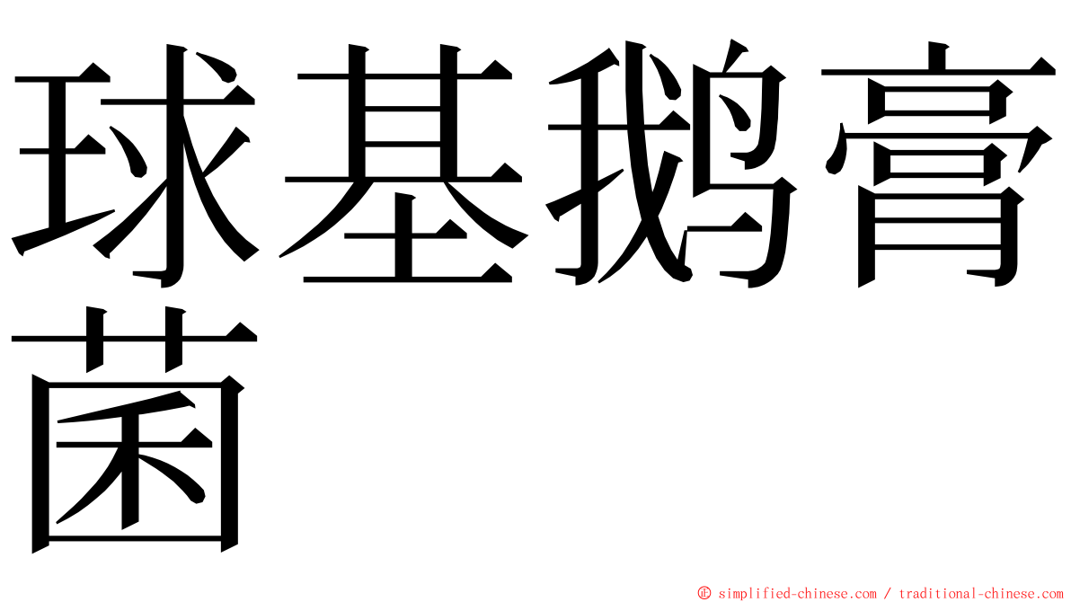 球基鹅膏菌 ming font