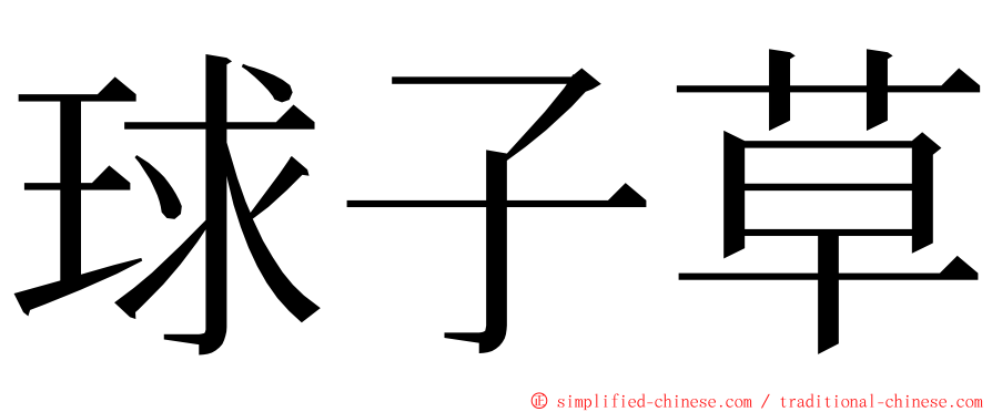 球子草 ming font