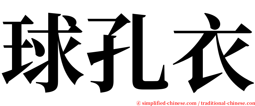 球孔衣 serif font