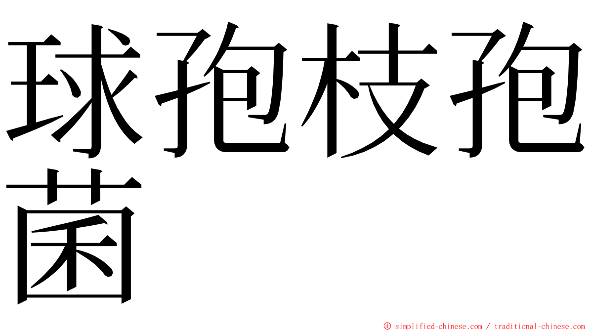 球孢枝孢菌 ming font