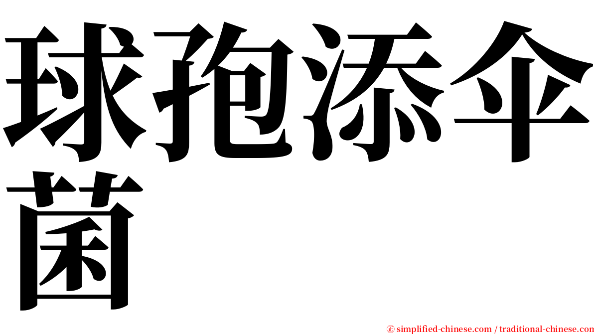 球孢添伞菌 serif font