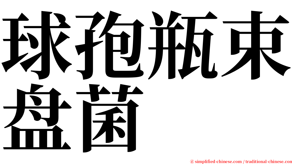 球孢瓶束盘菌 serif font