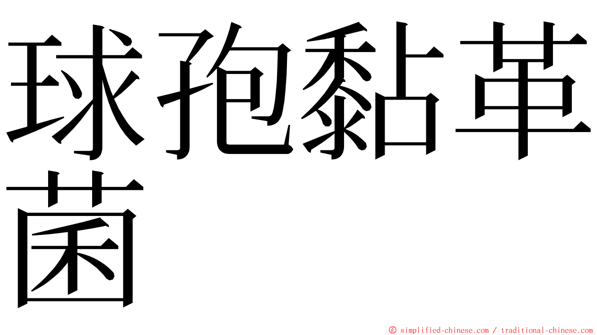 球孢黏革菌 ming font