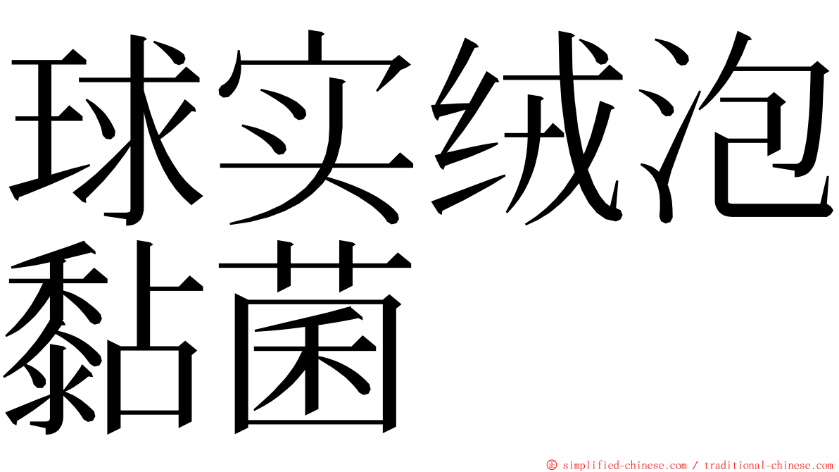 球实绒泡黏菌 ming font