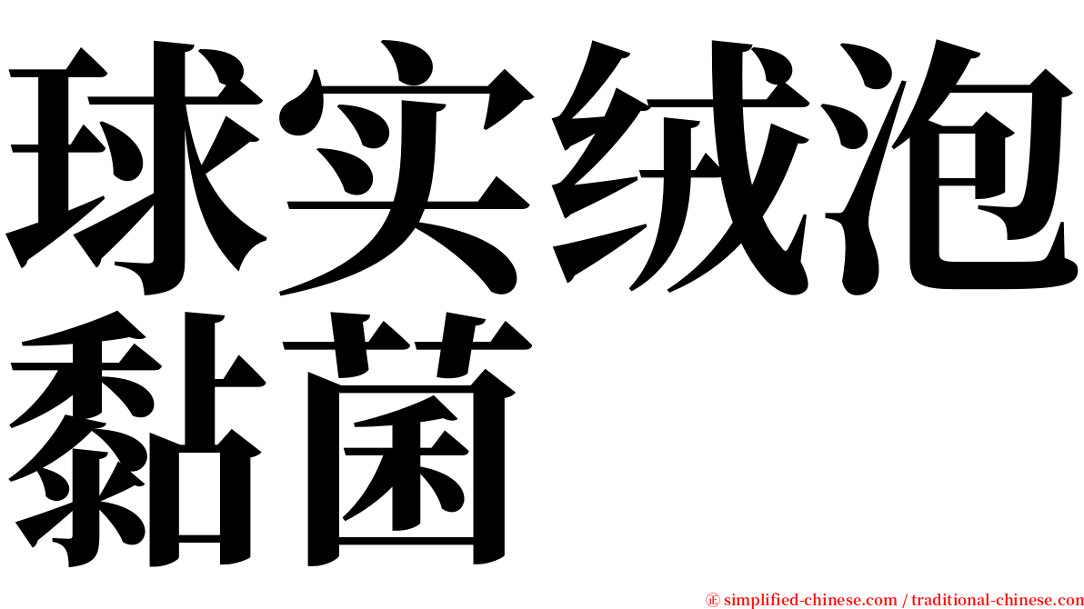 球实绒泡黏菌 serif font