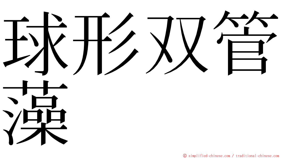 球形双管藻 ming font