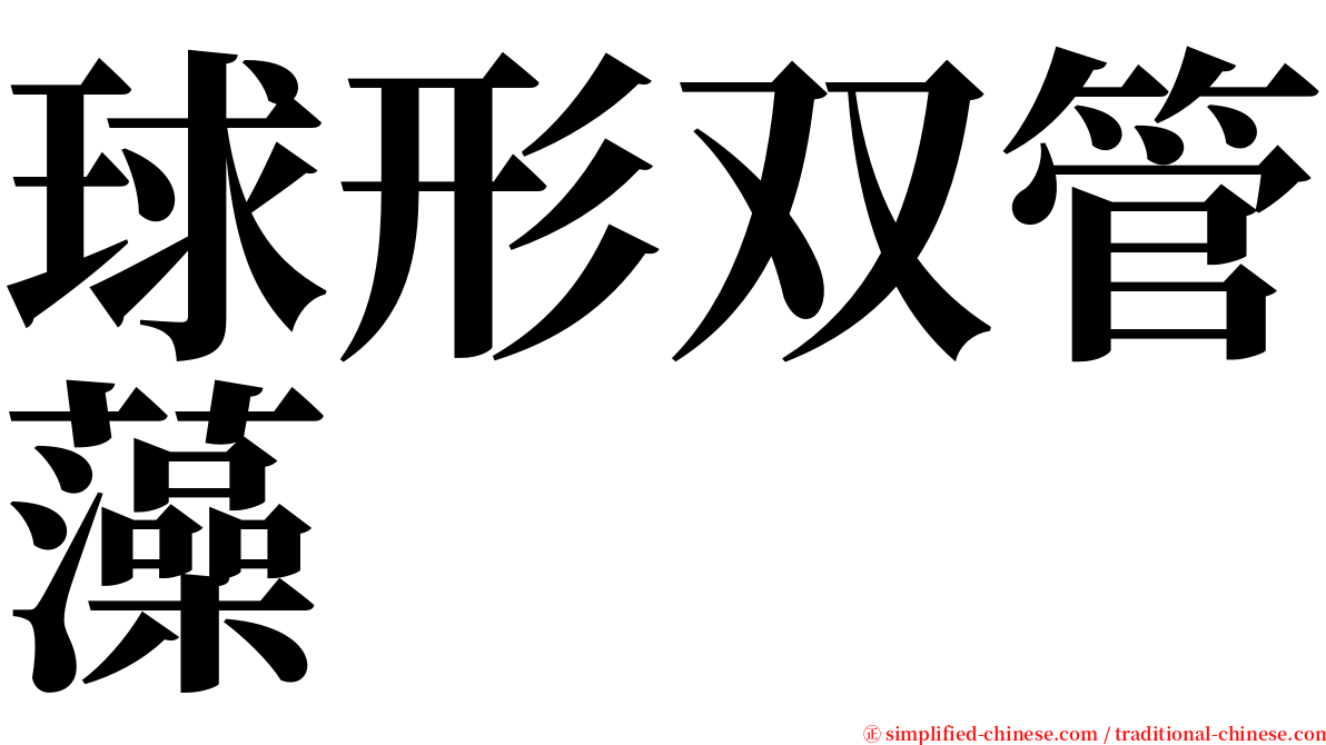 球形双管藻 serif font