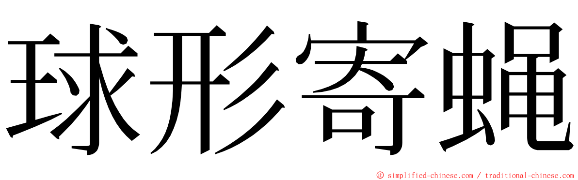 球形寄蝇 ming font