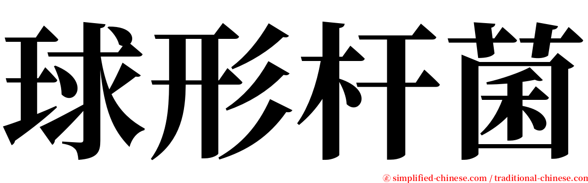 球形杆菌 serif font