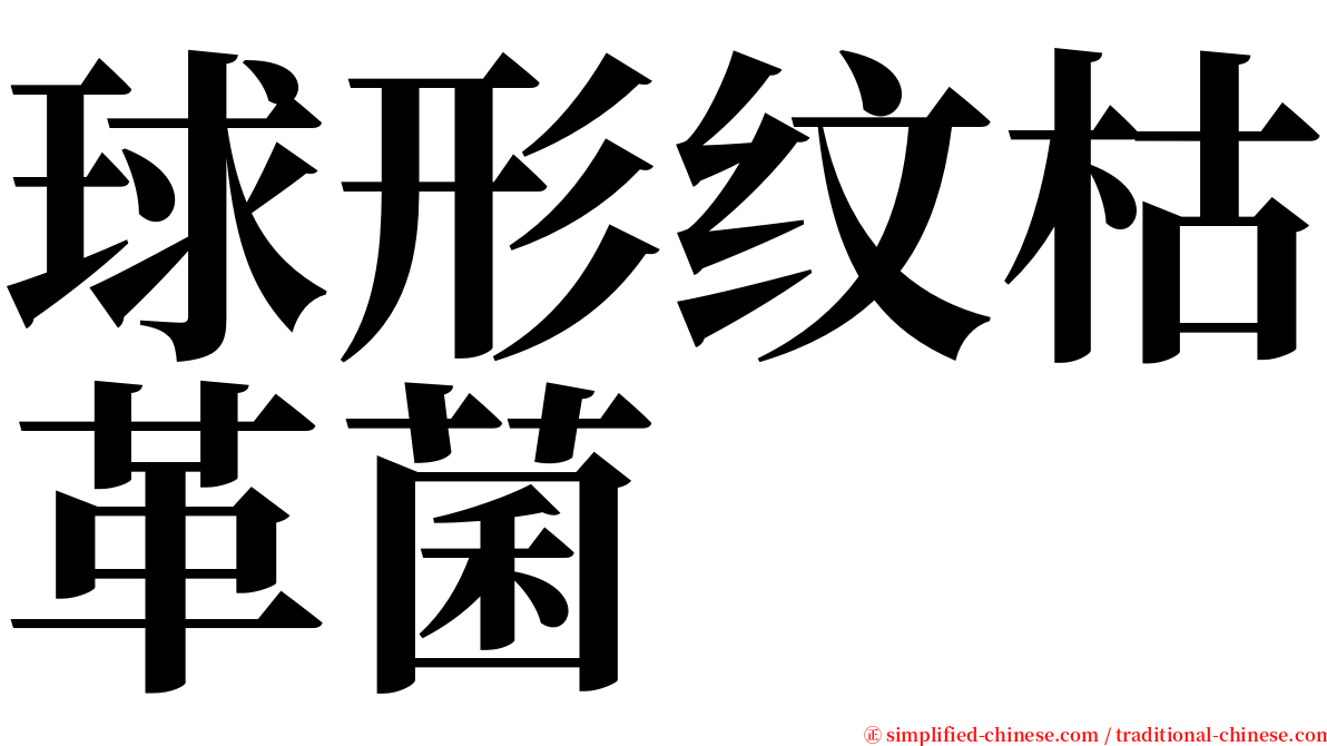 球形纹枯革菌 serif font