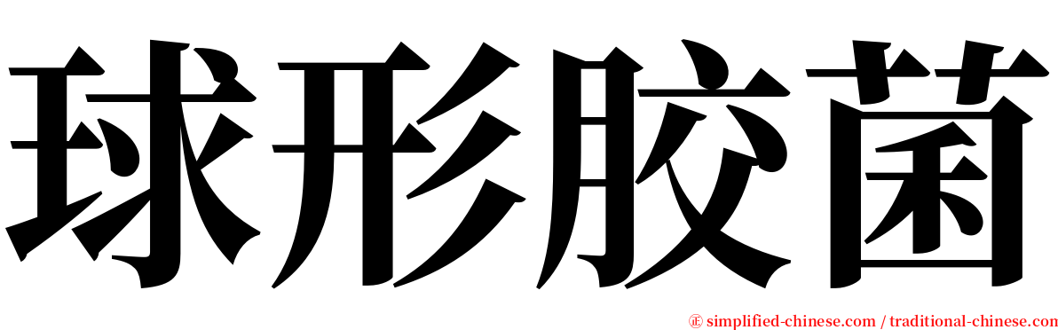 球形胶菌 serif font