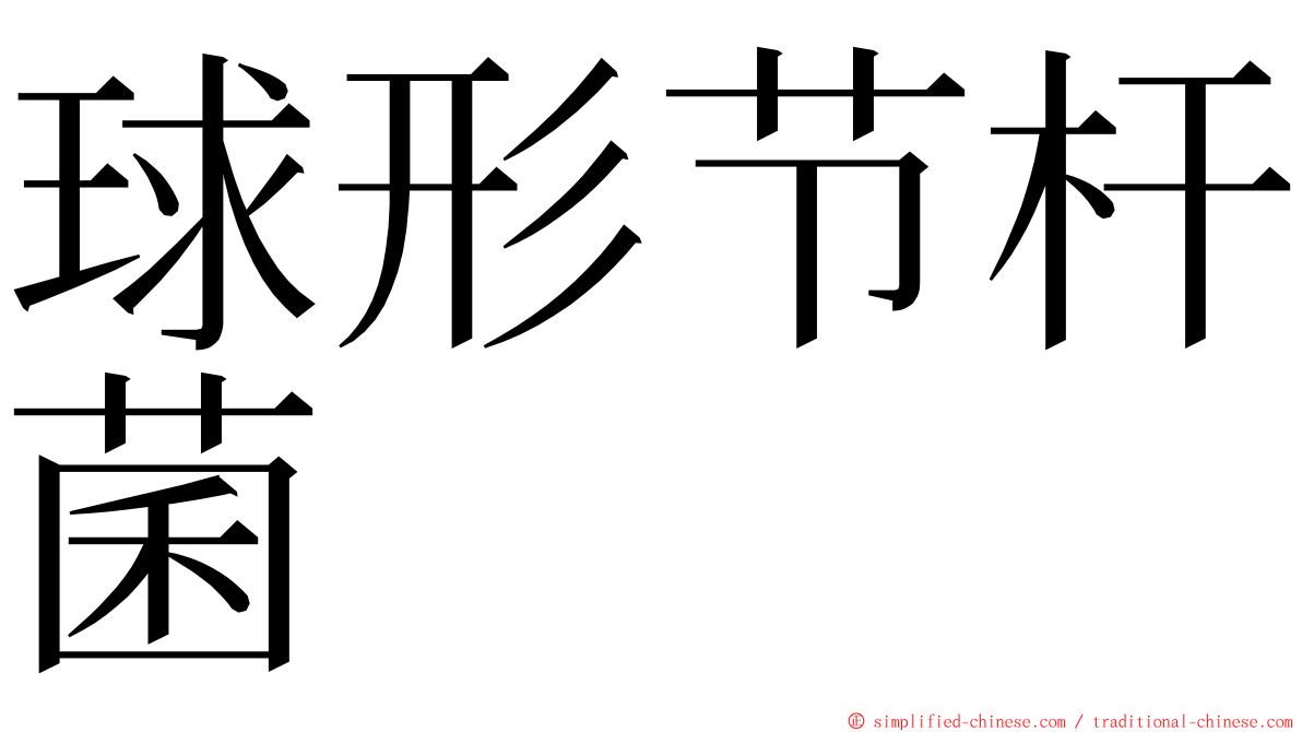 球形节杆菌 ming font