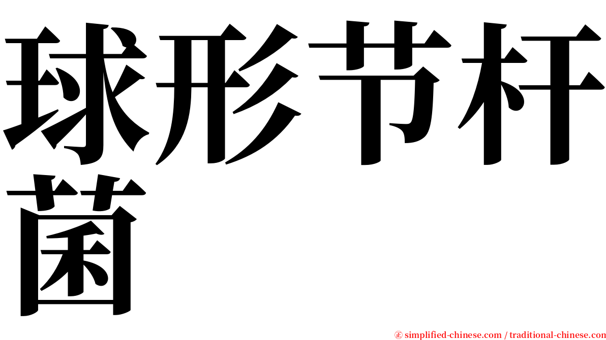 球形节杆菌 serif font