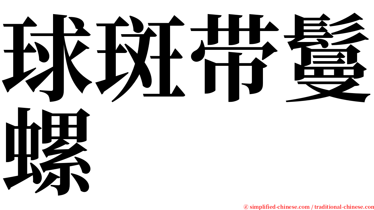 球斑带鬘螺 serif font