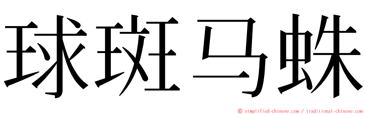 球斑马蛛 ming font