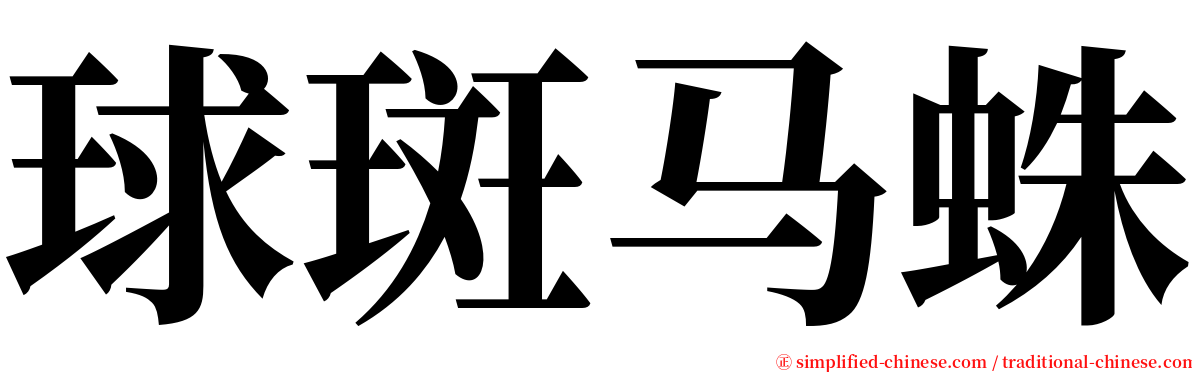 球斑马蛛 serif font