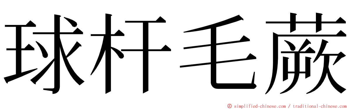 球杆毛蕨 ming font