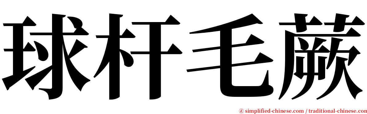 球杆毛蕨 serif font