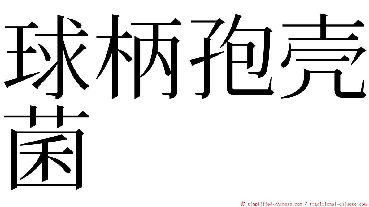 球柄孢壳菌 ming font