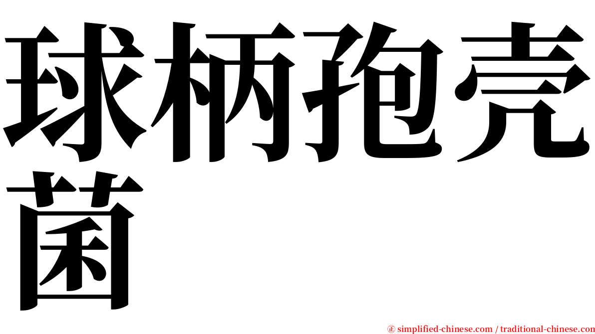 球柄孢壳菌 serif font