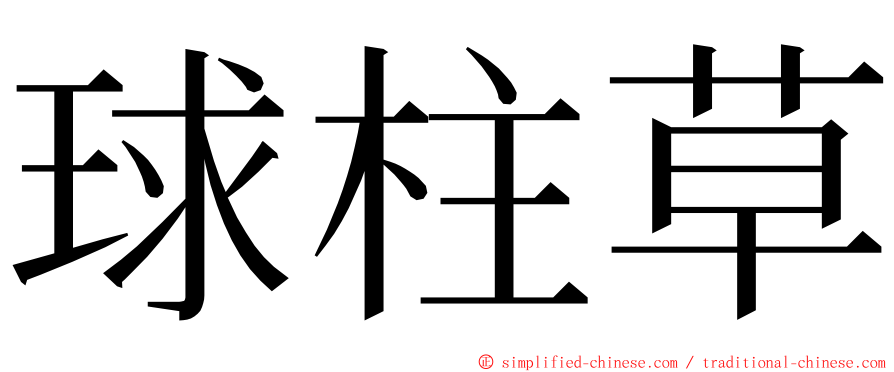 球柱草 ming font