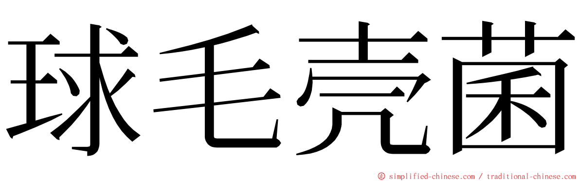 球毛壳菌 ming font