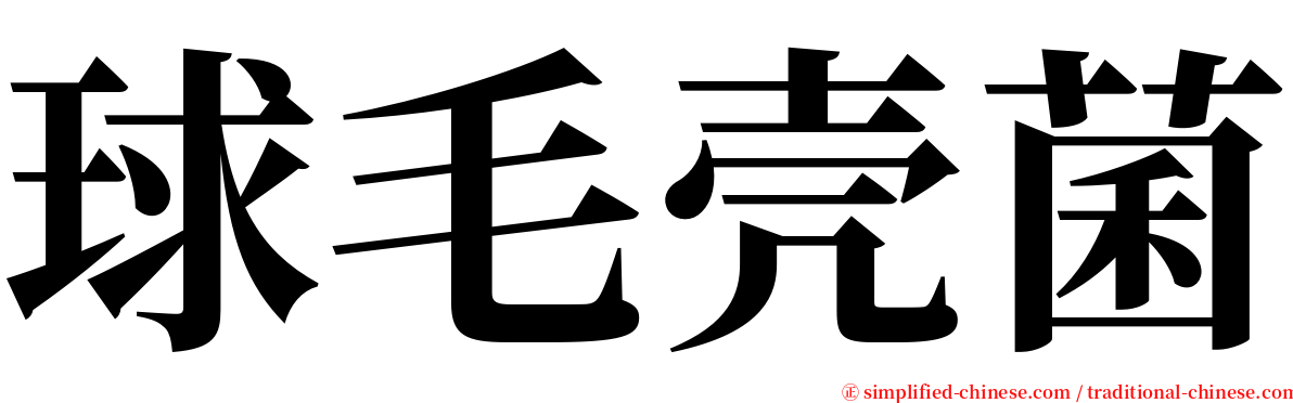 球毛壳菌 serif font